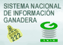 Hector Indarte